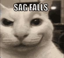 a black and white photo of a cat with the words sag falls above it