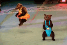 Dancing Bears GIF - Dancing Bears GIFs