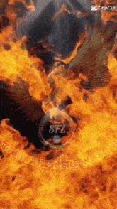 a picture of an eagle in flames with the word sffz on the bottom