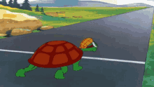 Fast Turtle GIFs | Tenor