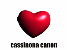 two hearts with a picture of two girls and the words cassiona canon