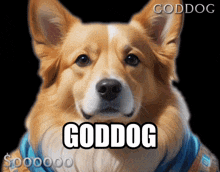 Doggod Goddog GIF - Doggod Goddog Memecoin GIFs