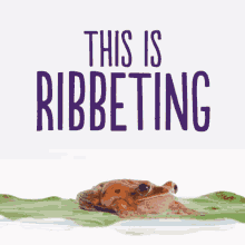 Exciting Riveting GIF - Exciting Riveting Telus GIFs