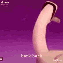 Bork Dog GIF