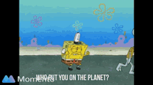 Sponge Bob Who Put You On The Planet GIF - Sponge Bob Who Put You On The Planet GIFs