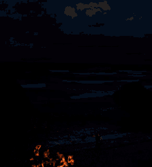 Outer Banks GIF