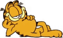 Garfield Cool GIF - Garfield Cool Relax GIFs