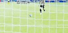 a blurred image of a soccer field with a goalie in the background