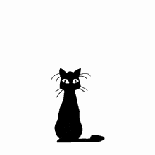Freeze Cat GIF - Freeze Cat Black Cat GIFs