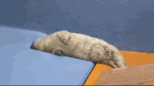 Seal Sealwaffen GIF - Seal Sealwaffen Sealpilled GIFs