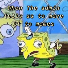 Memes Admin GIF