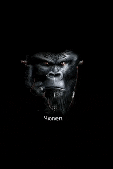 a gorilla wearing headphones and a ring on its finger with the word chonen written below it
