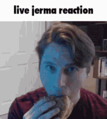 Jerma Jerma985 GIF - Jerma Jerma985 Reaction GIFs