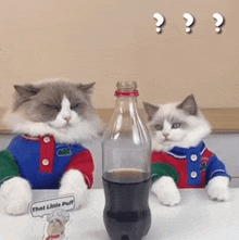 Confused Puff GIF - Confused Puff Meow Chef GIFs