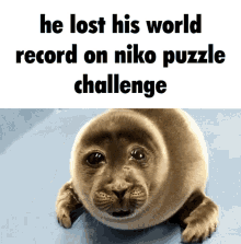 Nyaguys Niko GIF - Nyaguys Niko Puzzle GIFs