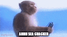 a monkey is holding a remote control and saying ahhh sea cracker