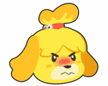 isabelle angry acnh animal crossing new horizons mad