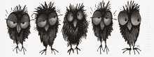 Owls GIF - Owls GIFs