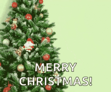 Merry Christmas GIF - Merry Christmas People GIFs