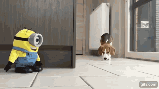 minion animated dogs