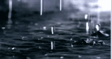 Raindrops GIF - Raindrops GIFs