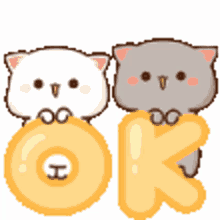 peach cat ok cat kitty cute