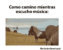 Caballo Camino GIF - Caballo Camino Musica GIFs