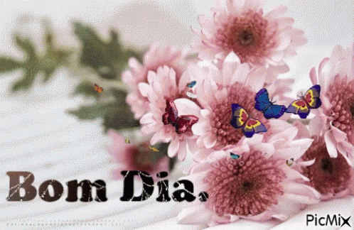 Bom Dia Good Day GIF - Bom Dia Good Day Good Morning - Discover & Share GIFs Bom Dia Good Day GIF - Bom Dia Good Day Good Morning - Discover & Share GIFs