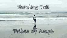 Tribes Of Asaph Bluergeenland GIF - Tribes Of Asaph Bluergeenland Tribes Of GIFs