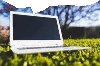 Grass Laptop Sticker - Grass Laptop Acer Stickers