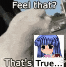 a white cat is next to a picture of a girl with blue hair
