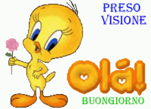 Ola Preso Visione GIF - Ola Preso Visione GIFs