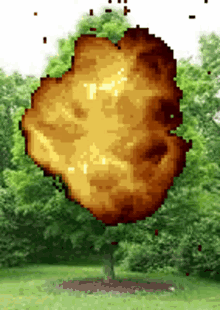 Tree Explosion GIF - Tree Explosion Maple GIFs