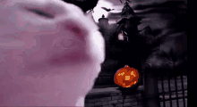 Catjam Halloween GIF - Catjam Halloween GIFs