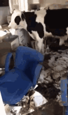 Chaos Cattle GIF - Chaos Cattle Freedom GIFs