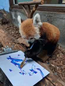 Red Panda Art GIF - Red Panda Art GIFs