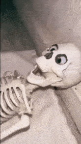a skeleton with its mouth open is laying on a white surface