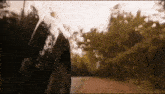 a car is driving down a dirt road with trees on the side .
