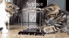 Science Kind GIF - Science Kind Of GIFs