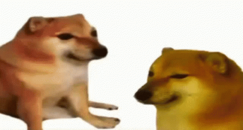 Bonk Doge GIF – Bonk Doge Meme – GIFs entdecken und teilen