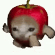 GIF