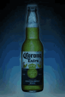 corona alcohol