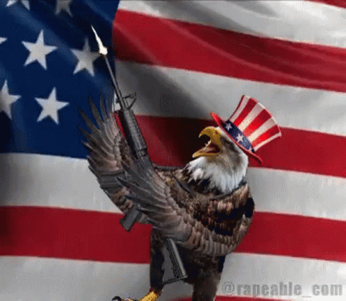 Usa Freedom GIF - Usa Freedom Eagle - Discover & Share GIFs