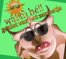 a picture of a cow wearing sunglasses with the words " warm he geniet van het zomete "