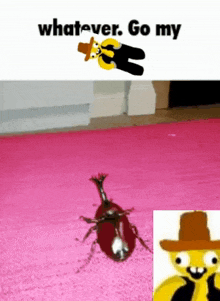 a picture of a bug with the words whatever go my on the bottom