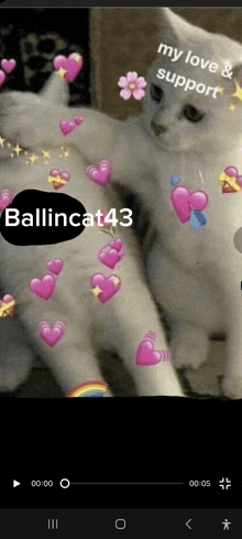 Ballincat GIF - Ballincat GIFs