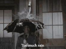 Too Much Rain GIF - Too Much Rain Rain Over The Rain GIFs
