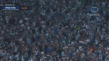 Fans Crowd GIF - Fans Crowd Audience GIFs