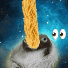 Funny Animals Sloth GIF