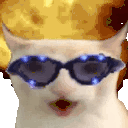 a close up of a cat wearing sunglasses and a crown .
